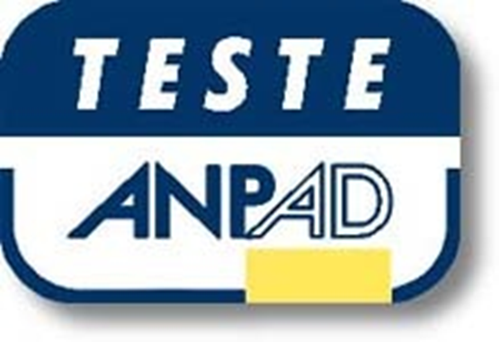 Raciocínio Analítico e Raciocínio Lógico Quantitativo - Teste ANPAD