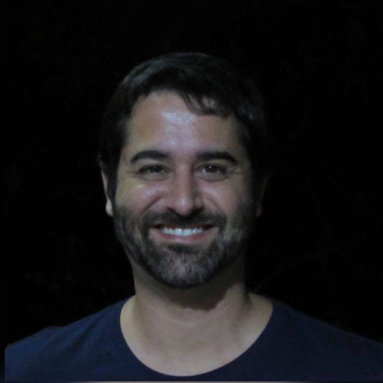 Professor Aluizio - Site de cursos